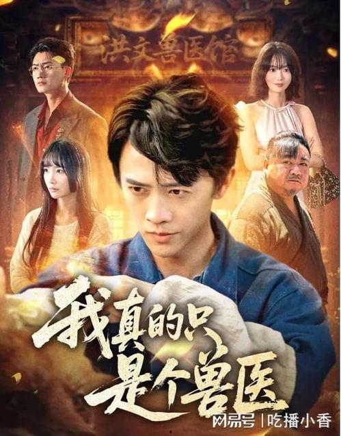 重回91开局制霸小家电市场,小家电市场制霸之路