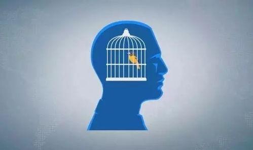 思维笼,探索创新思维的奥秘与边界