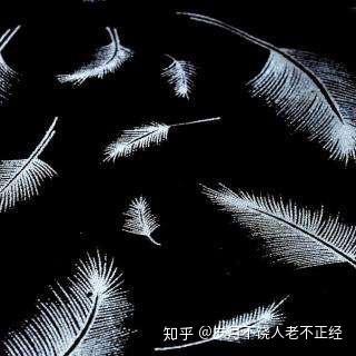 一地鸡毛,揭秘平凡生活中的琐碎与真实