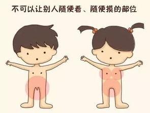 青春期：男孩和女孩的性健康教育,男孩与女孩的成长导航